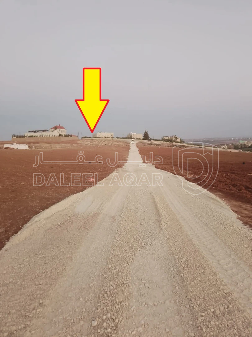 أرض في مادبا - بمنطقة لويز - 209,926 دأ - صورة 1
